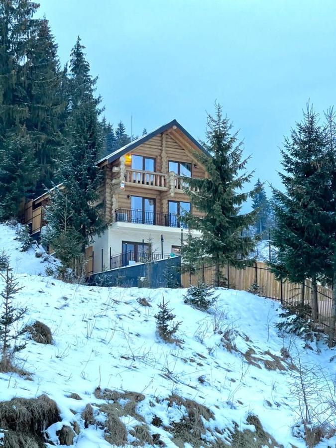 Chalet Du Lac Colibiţa Dış mekan fotoğraf
