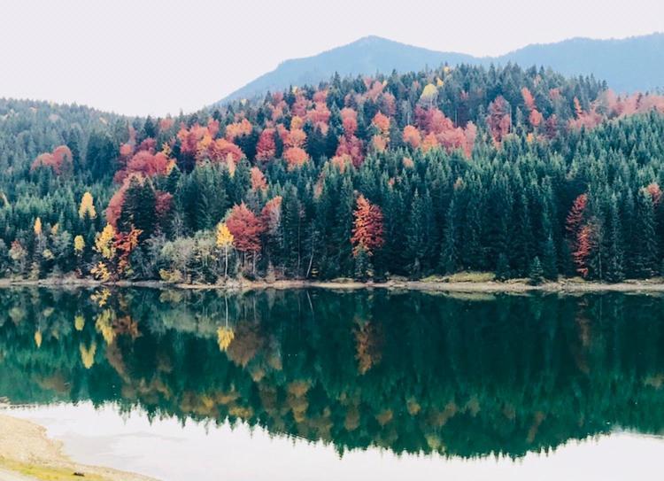 Chalet Du Lac Colibiţa Dış mekan fotoğraf