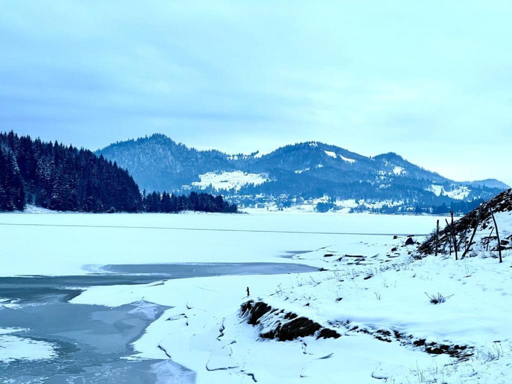 Chalet Du Lac Colibiţa Dış mekan fotoğraf